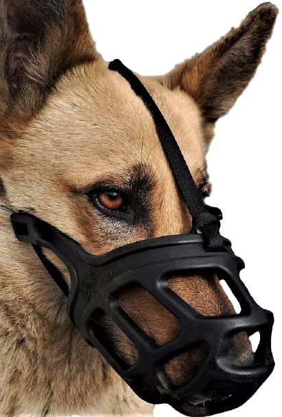 Best Muzzle For Aggressive Dog India 2021-Complete Guide & Review